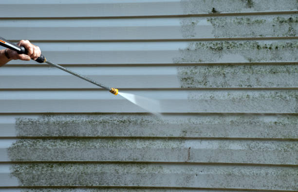 Animal Enclosure Cleaning in Victoria, VA
